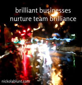 brilliant businesses nurture team brilliance